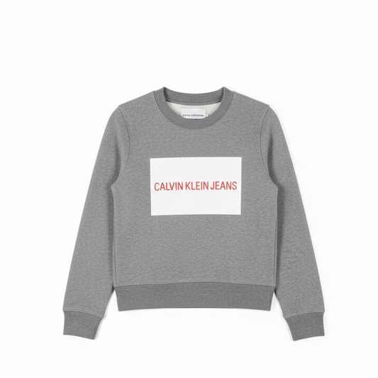 Calvin Klein Jeans Women's Box Logo Sweatshirt
